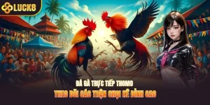 Đá gà trực tiếp Thomo