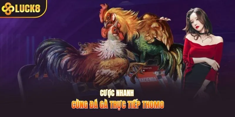 Cược nhanh cùng đá gà trực tiếp Thomo